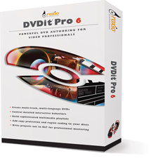 DVDit 6 Pro